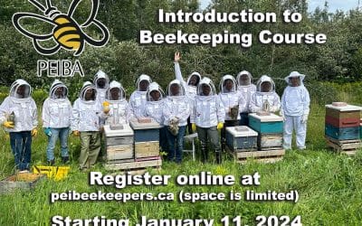 PEIBA Introduction to Beekeeping Course 2024