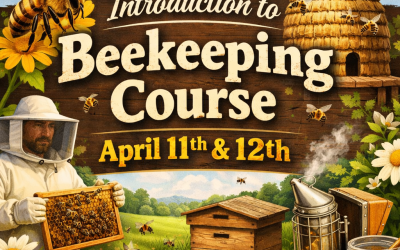 PEIBA Introduction to Beekeeping 2026